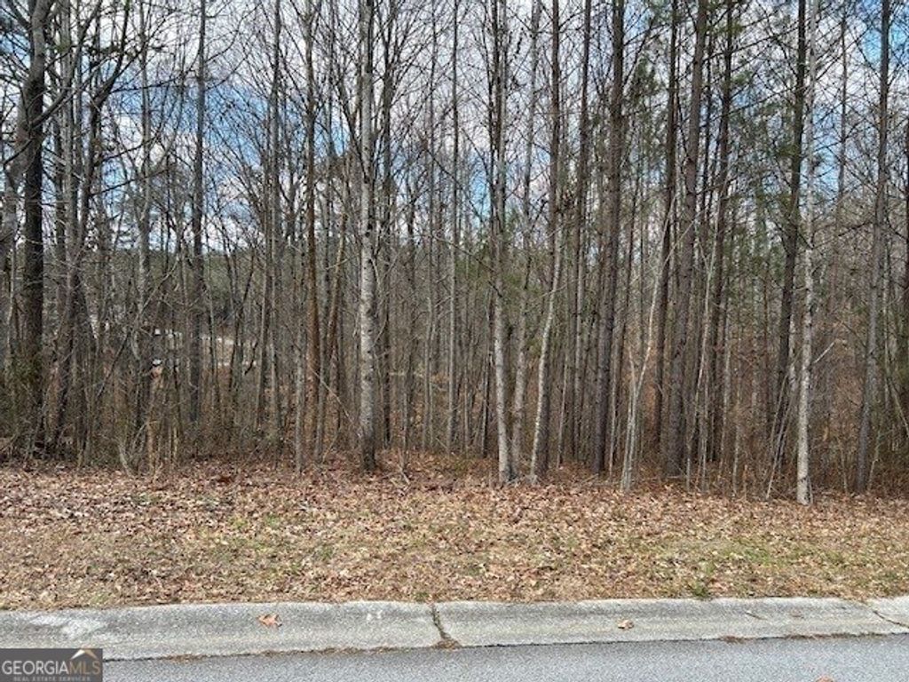 110 Anita Boulevard, Carrollton, GA 30117