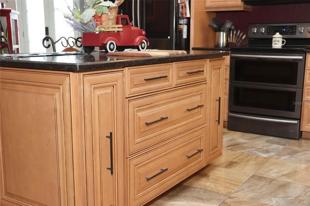 1497 OVERLAND DRIVE, Spring Hill, FL 34608