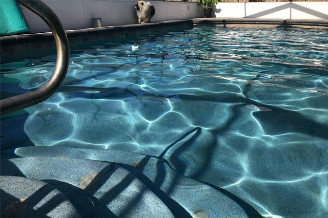 1497 OVERLAND DRIVE, Spring Hill, FL 34608