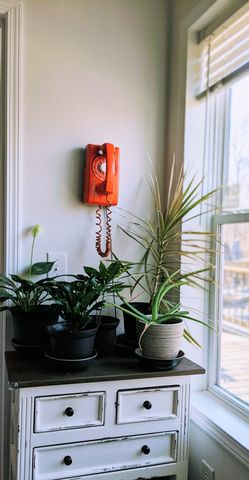 531 Pea Ridge Rd, Chestnut Mound, TN 38552