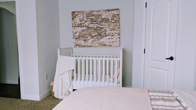 531 Pea Ridge Rd, Chestnut Mound, TN 38552