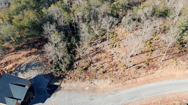 Lot 53 Mountain Laurel Ridge, Mineral Bluff, GA 30559