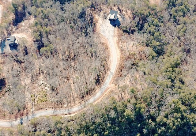 Lot 53 Mountain Laurel Ridge, Mineral Bluff, GA 30559