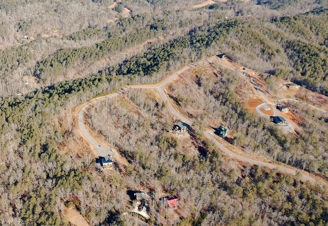 Lot 53 Mountain Laurel Ridge, Mineral Bluff, GA 30559