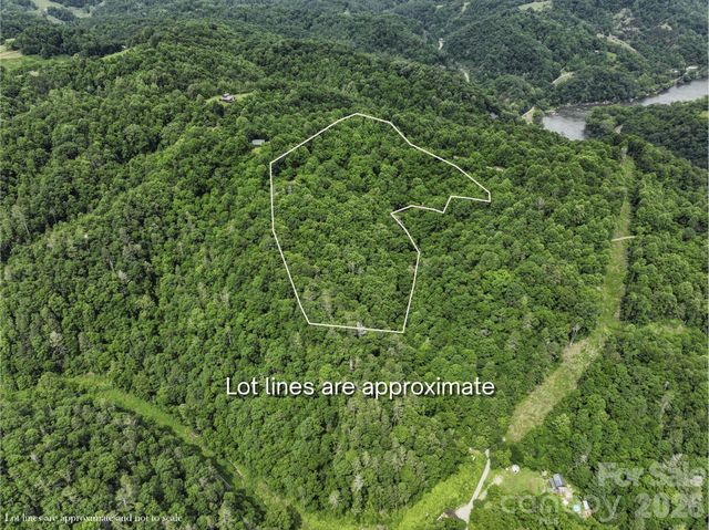 555 Logans Ridge Drive, Marshall, NC 28753