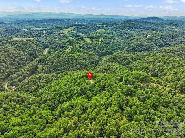 555 Logans Ridge Drive, Marshall, NC 28753