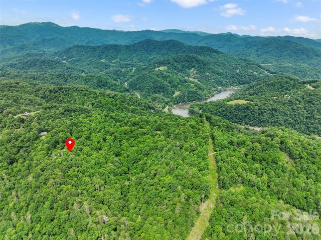 555 Logans Ridge Drive, Marshall, NC 28753
