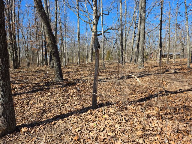 1950 State Highway B, Mansfield, MO 65704