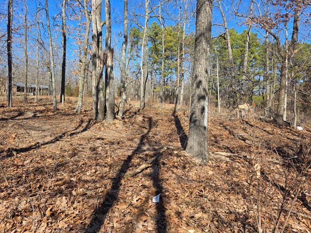 1950 State Highway B, Mansfield, MO 65704