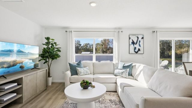 1116 MARITIME FOREST AVENUE, Ruskin, FL 33570