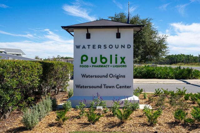 198 Medley Street, Inlet Beach, FL 32461