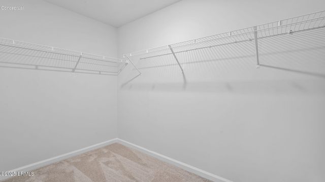 590 Sanctuary Drive, Ridgeland, SC 29936