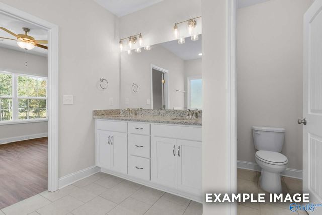 29523 Limestone Creek Way, Harvest, AL 35749