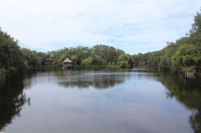 5717 BAYWATER DRIVE, Tampa, FL 33615