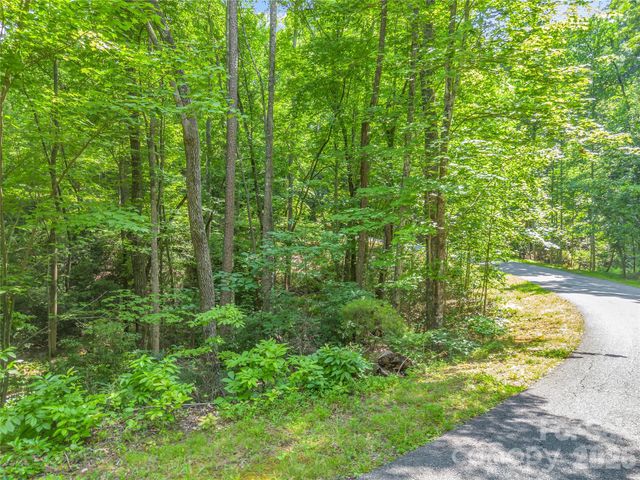 Lot 82 Lakewood Drive, Lake Lure, NC 28746