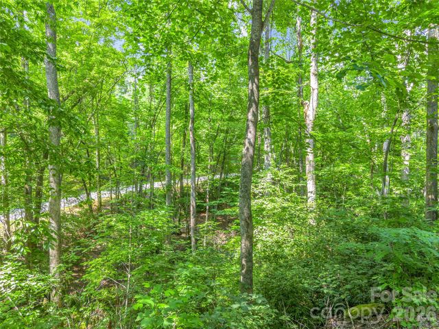 Lot 82 Lakewood Drive, Lake Lure, NC 28746