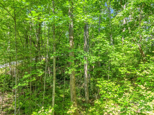 Lot 82 Lakewood Drive, Lake Lure, NC 28746