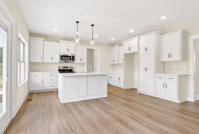 295 Bridle Path Lane, Hartsville, TN 37074