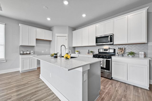 284 Grace Lilly DR, Buda, TX 78610