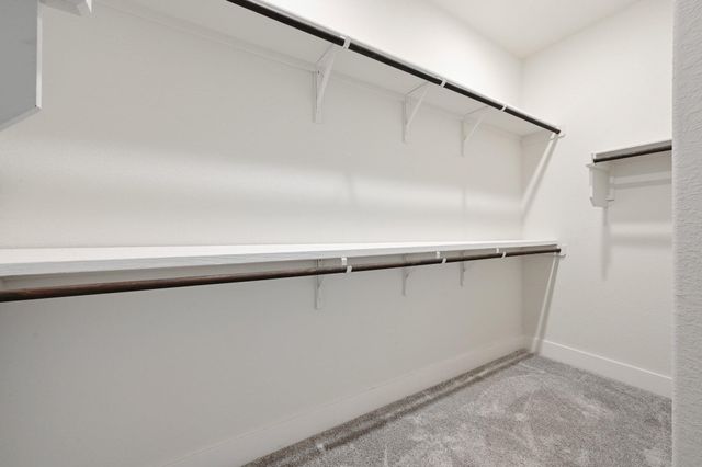 284 Grace Lilly DR, Buda, TX 78610