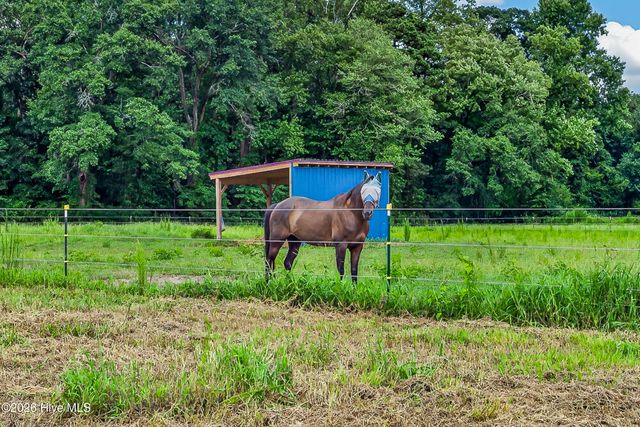 221 Myrtle Sholar Road, Wallace, NC 28466