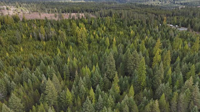 14506 Moonlight Ln, Newport, WA 99156