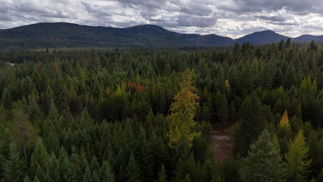 14506 Moonlight Ln, Newport, WA 99156