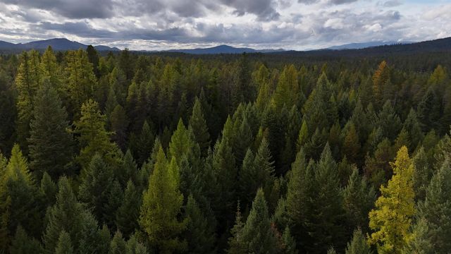 14506 Moonlight Ln, Newport, WA 99156