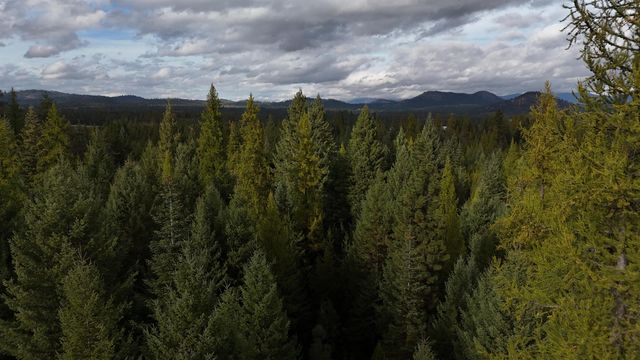 14506 Moonlight Ln, Newport, WA 99156