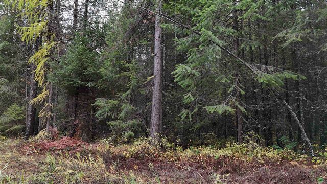 14506 Moonlight Ln, Newport, WA 99156