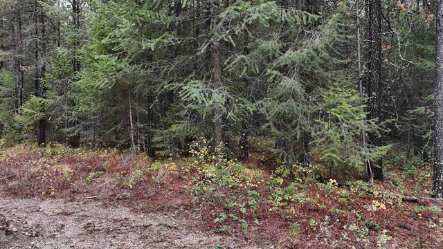 14506 Moonlight Ln, Newport, WA 99156