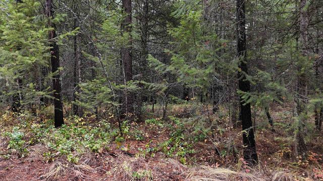 14506 Moonlight Ln, Newport, WA 99156