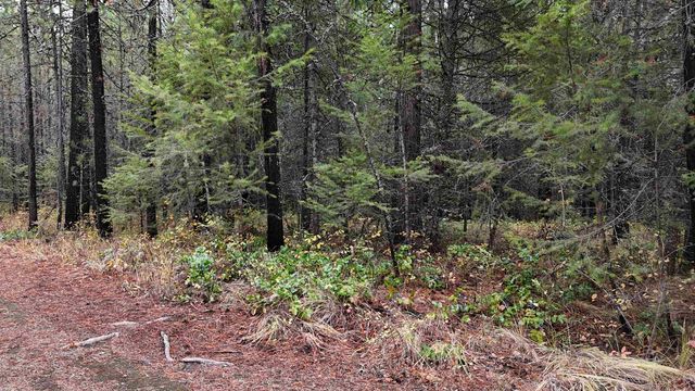 14506 Moonlight Ln, Newport, WA 99156