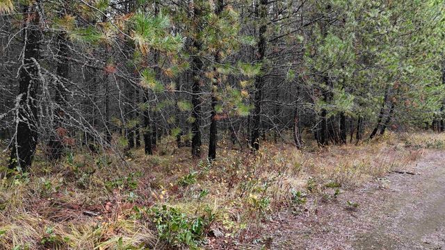 14506 Moonlight Ln, Newport, WA 99156