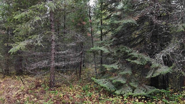 14506 Moonlight Ln, Newport, WA 99156