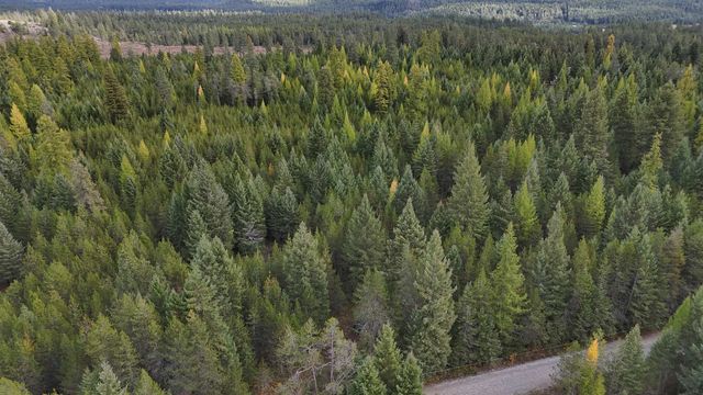 14506 Moonlight Ln, Newport, WA 99156