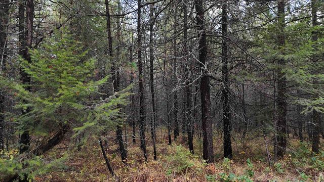 14506 Moonlight Ln, Newport, WA 99156