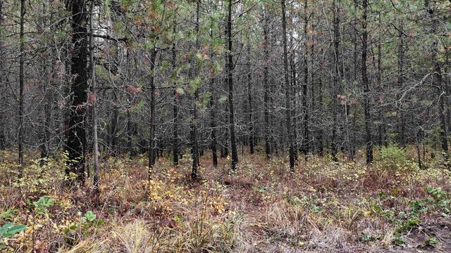 14506 Moonlight Ln, Newport, WA 99156