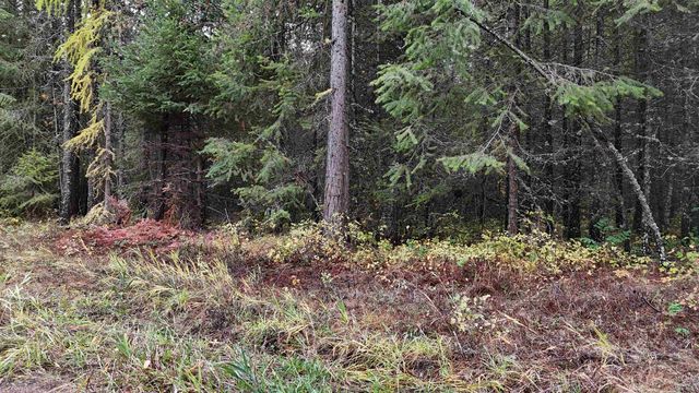 14506 Moonlight Ln, Newport, WA 99156