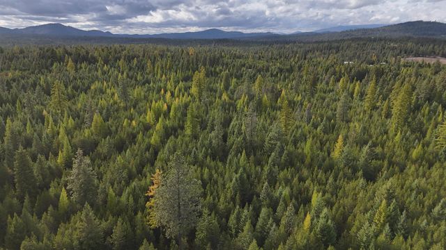 14506 Moonlight Ln, Newport, WA 99156