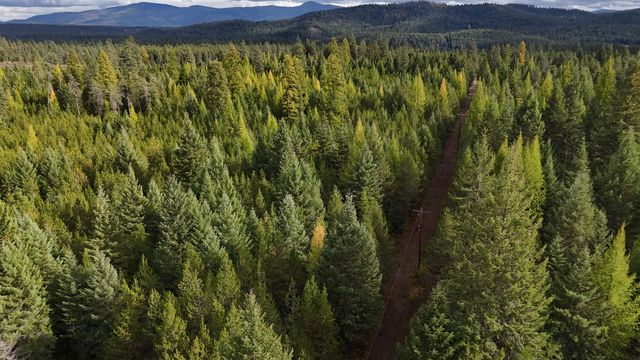 14506 Moonlight Ln, Newport, WA 99156