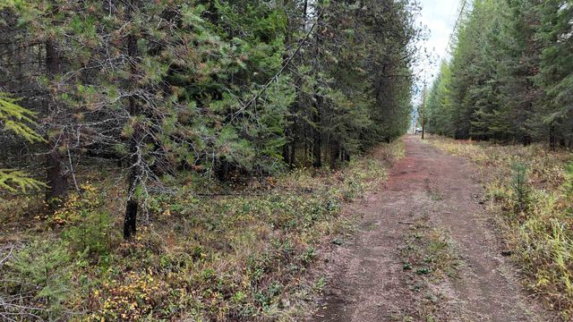 14506 Moonlight Ln, Newport, WA 99156