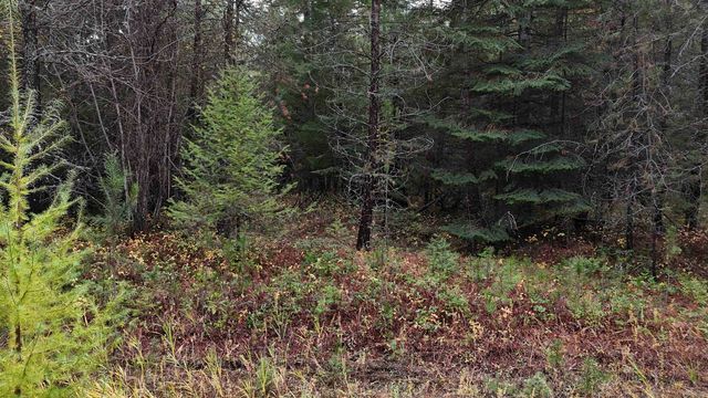 14506 Moonlight Ln, Newport, WA 99156