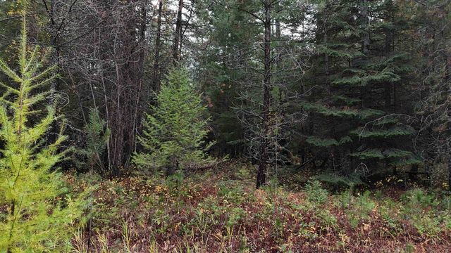 14506 Moonlight Ln, Newport, WA 99156