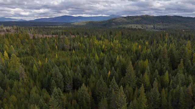 14506 Moonlight Ln, Newport, WA 99156