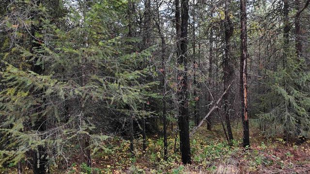 14506 Moonlight Ln, Newport, WA 99156