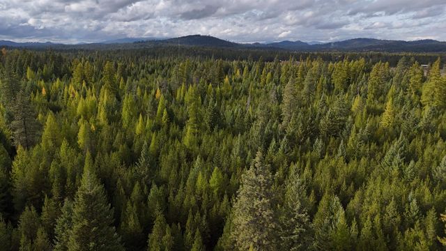 14506 Moonlight Ln, Newport, WA 99156