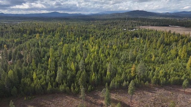 14506 Moonlight Ln, Newport, WA 99156