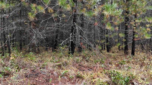 14506 Moonlight Ln, Newport, WA 99156