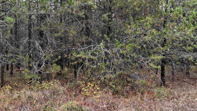 14506 Moonlight Ln, Newport, WA 99156